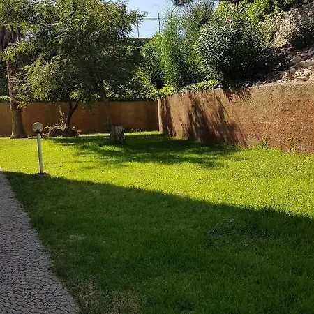 Appartement Bluechoro *