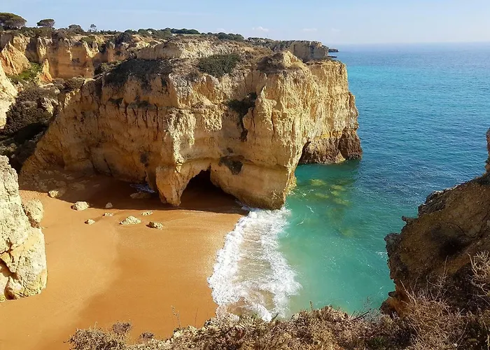 Bluechoro אלבופיירה