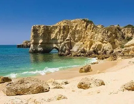 Studio Bluechoro Apartment