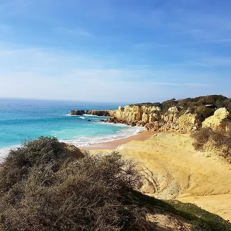 Apartment Studio Bluechoro *